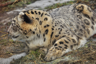 Similar image 22174221