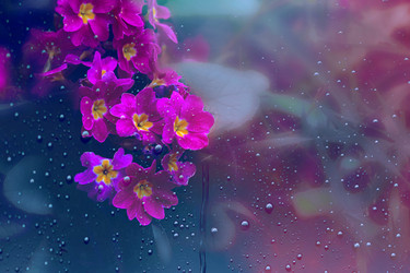 Similar image 22174743