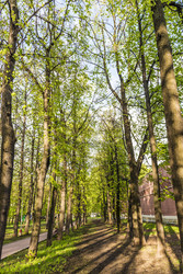 Similar image 22167424