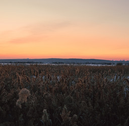 Similar image 22167425