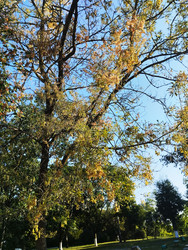 Similar image 22181242