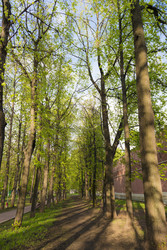 Similar image 22167428