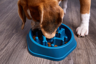 Similar image 22180906