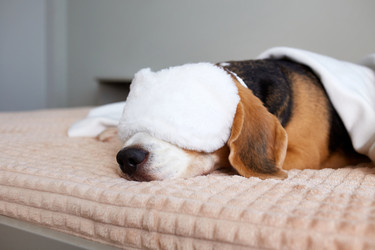 Similar image 22180907