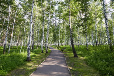 Similar image 22180908