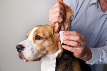 Similar image 22180911