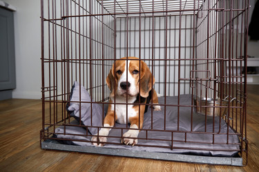 Similar image 22180914