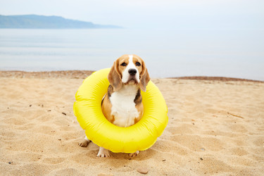 Similar image 22180915