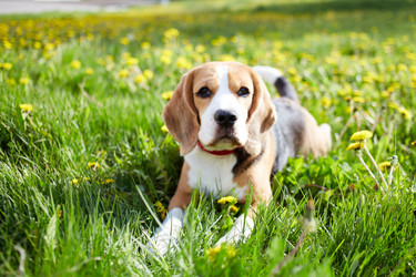 Similar image 22180918