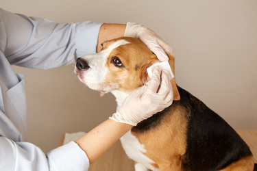 Similar image 22180919