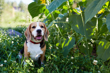 Similar image 22180929