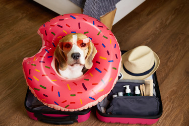 Similar image 22180930