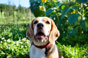 Similar image 22180931