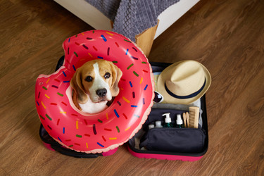 Similar image 22180932