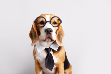 Similar image 22180935