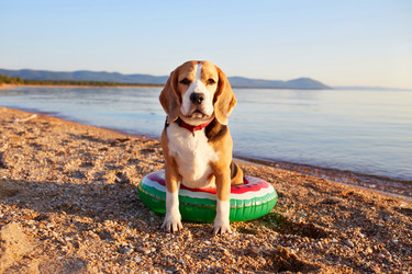 Similar image 22180939