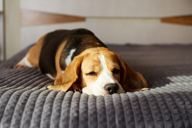 Similar image 22180940