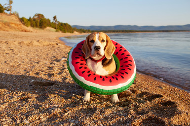 Similar image 22180941