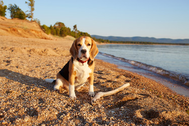 Similar image 22180944