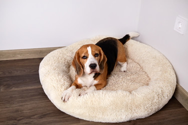 Similar image 22180946