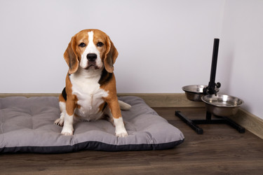 Similar image 22180947