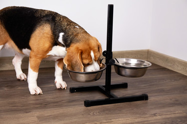 Similar image 22180948