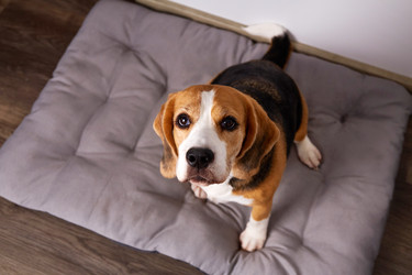 Similar image 22180950