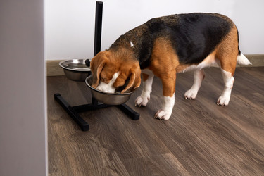 Similar image 22180951