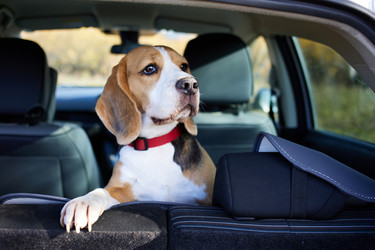 Similar image 22180953