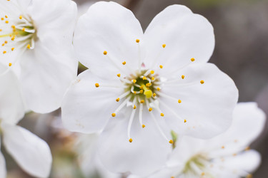 Similar image 22174744