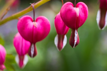 Similar image 22174745