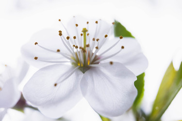 Similar image 22174746