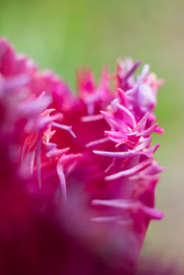 Similar image 22174747