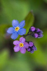 Similar image 22174748