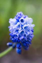 Similar image 22174749