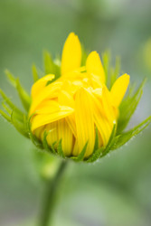 Similar image 22174750