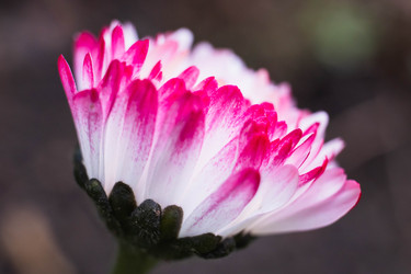 Similar image 22174751