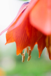 Similar image 22174752