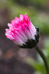 Similar image 22174753