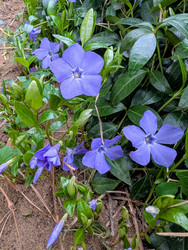 Similar image 22168093