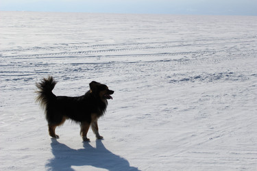 Similar image 22173900