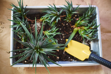 Similar image 22174869