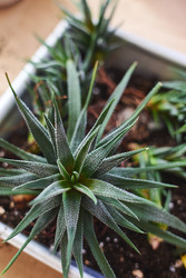 Similar image 22174870