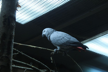 Similar image 22181247