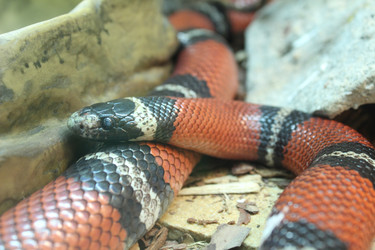 Similar image 22181249