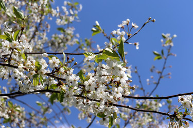 Similar image 22169372