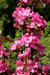 Similar image 22169373