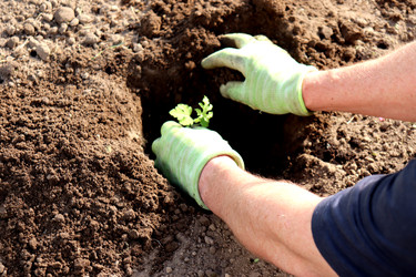 Similar image 22169374