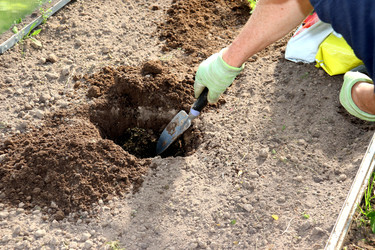 Similar image 22169376