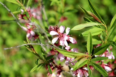 Similar image 22169378